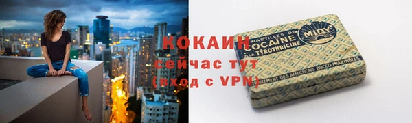 дживик Арсеньев