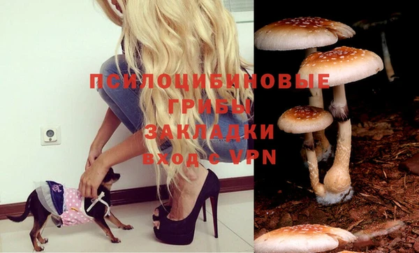 дмт Аркадак