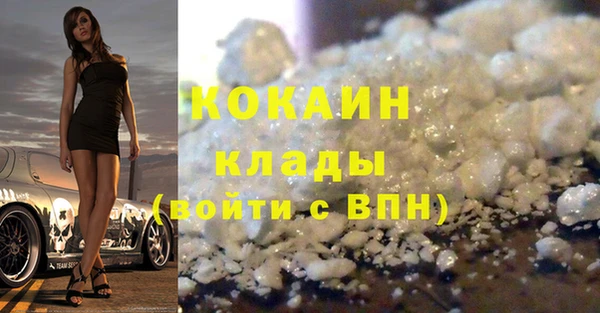 дживик Арсеньев