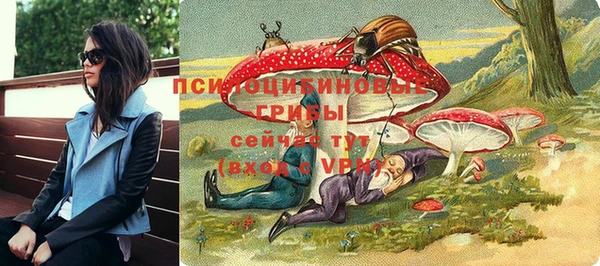 дмт Аркадак